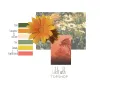 Topshop Brief thumbnail 2